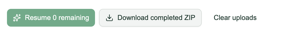 Photo Studio batch toolbar with the Download completed ZIP button